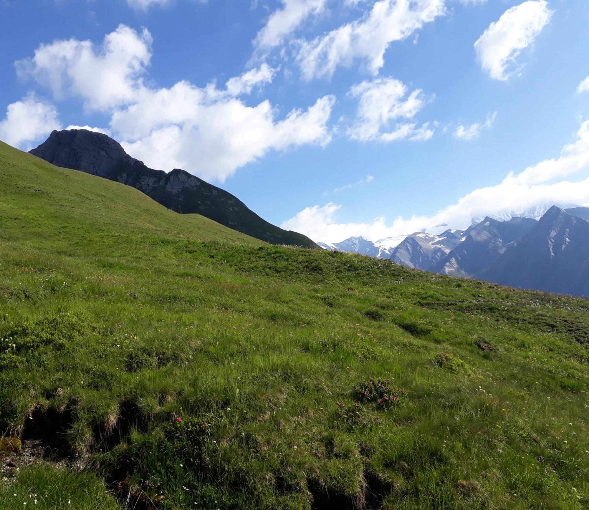 Apartament Sonnenhof Kals-am Großglockner Zewnętrze zdjęcie